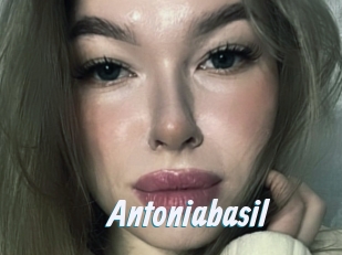 Antoniabasil