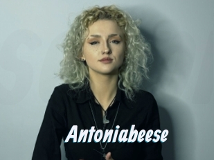 Antoniabeese