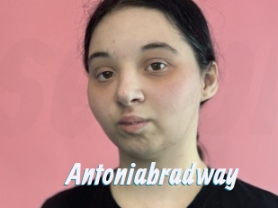 Antoniabradway