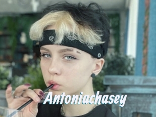 Antoniachasey