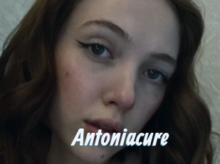 Antoniacure