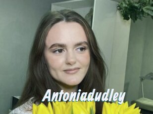 Antoniadudley
