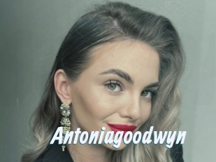 Antoniagoodwyn
