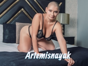 Artemisnayak