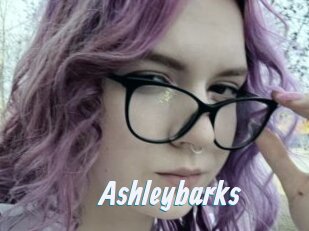Ashleybarks