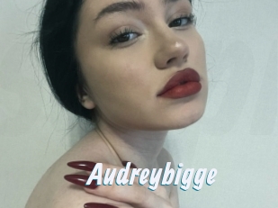 Audreybigge