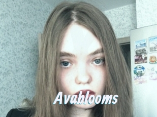 Avablooms