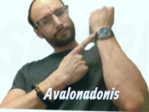 Avalonadonis
