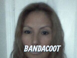 BANDACOOT
