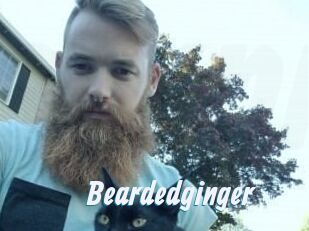 Beardedginger