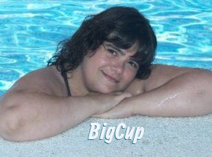 BigCup