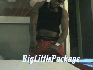 BigLittlePackage