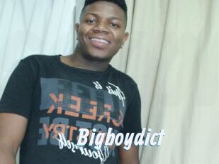 Bigboydict