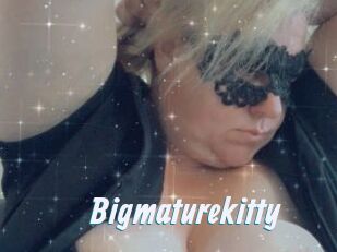 Bigmaturekitty
