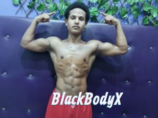 BlackBodyX