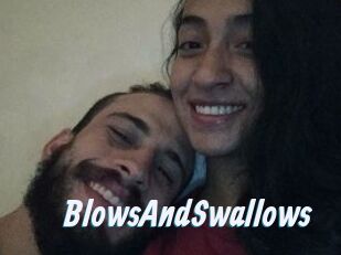 BlowsAndSwallows