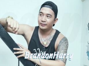 BrandonHarry