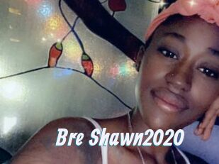Bre_Shawn2020