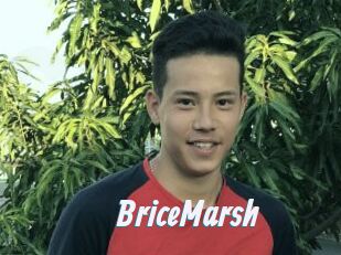 BriceMarsh