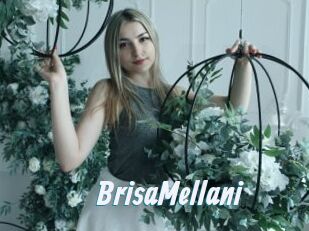 BrisaMellani