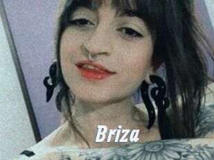Briza