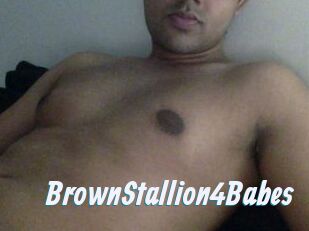 BrownStallion4Babes