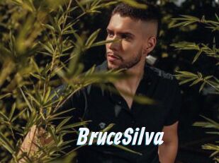 BruceSilva