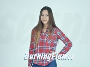BurningFlamee