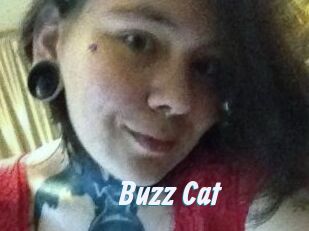 Buzz_Cat
