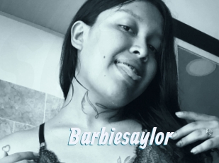 Barbiesaylor