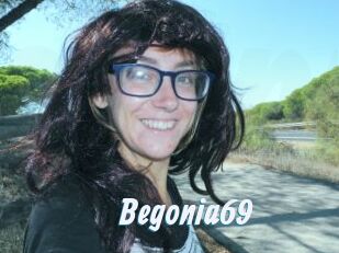 Begonia69