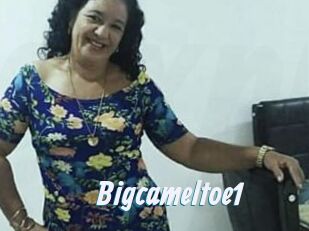 Bigcameltoe1