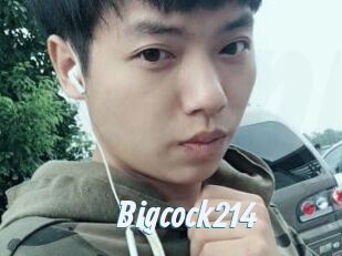 Bigcock214