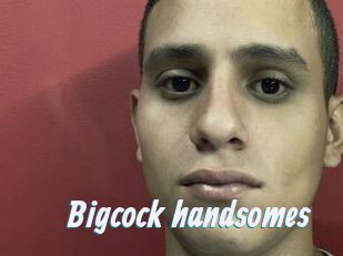 Bigcock_handsomes