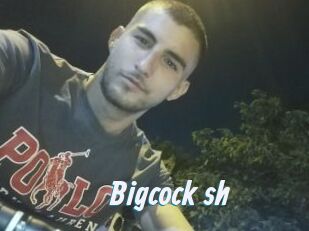 Bigcock_sh