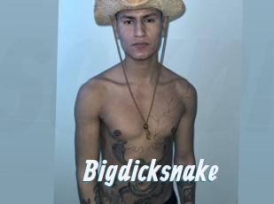Bigdicksnake