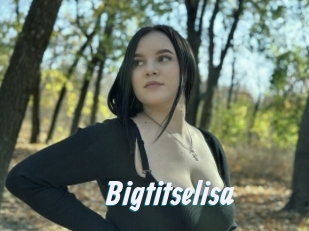 Bigtitselisa
