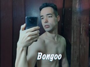 Bongoo