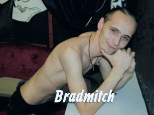Bradmitch
