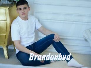 Brandonbud