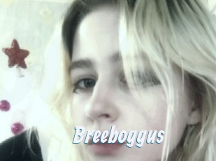 Breeboggus