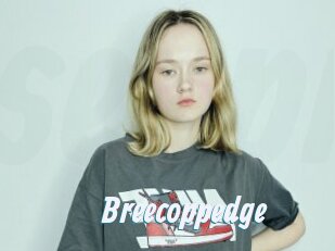 Breecoppedge