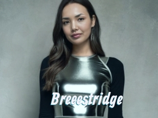 Breeestridge