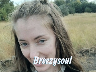 Breezysoul
