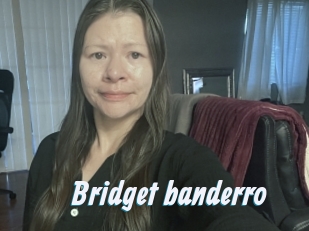 Bridget_banderro