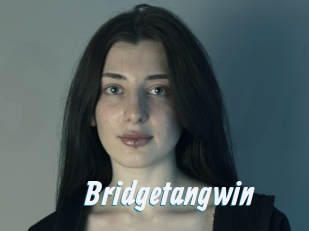 Bridgetangwin