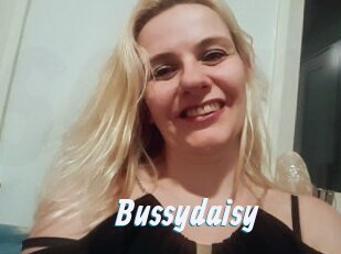 Bussydaisy