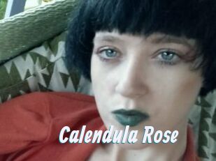 Calendula_Rose