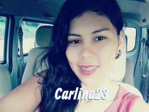 Carlina23