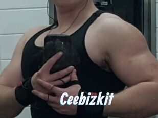 Ceebizkit